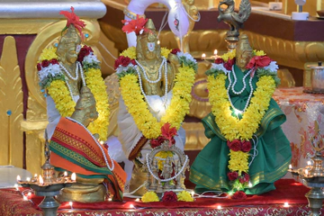 Ram Navami Celebrations Photos 2025-26